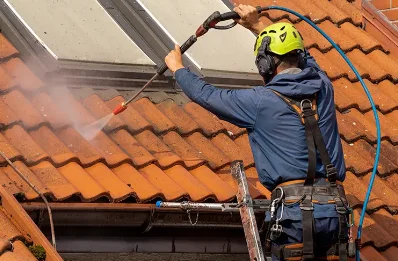 Démoussage et hydrofuge de toiture à Mausoléo